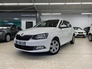 Skoda Fabia 1.4 Tdi 75 Business Greentec Fabia 63 782km