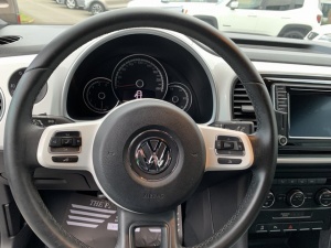 Volkswagen Coccinelle 2.0 Tdi 110 Color Coccinelle 89 227km