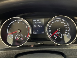 Volkswagen Golf 1.4 Tsi Multifuel E85 Match Golf 102 206km