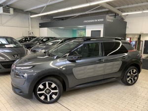 Citroen C4 Cactus Bluehdi 100 Shine Edition C4 Cactus 85 427km