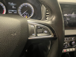 Skoda Karoq Business 1.6 Tdi 116 Scr Karoq 118 136km
