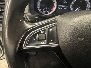 Skoda Karoq Business 1.6 Tdi 116 Scr Karoq 118 136km