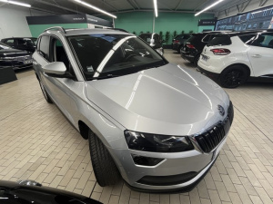 Skoda Karoq Business 1.6 Tdi 116 Scr Karoq 118 136km