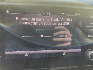 Skoda Octavia Combi Business 2.0 Tdi 150 Dsg7 Octavia 124 727km