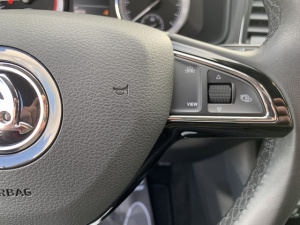 Skoda Karoq Business 2.0 Tdi 150 Bvm6 - 1ere Main Karoq 45 572km