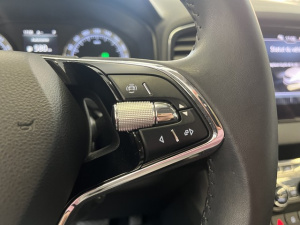 Skoda Karoq Business 1.6 Tdi 116 Sc Dsg7 Karoq 33 697km