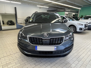 Skoda Karoq Business 1.6 Tdi 116 Sc Dsg7 Karoq 33 697km