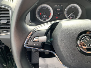 Skoda Karoq 2.0 Tdi 150 Business Karoq 47 045km