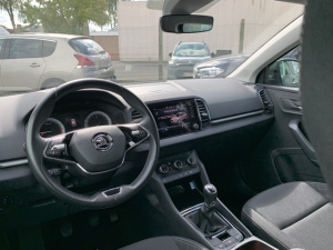 Skoda Karoq 2.0 Tdi 150 Business Karoq 47 045km