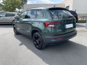 Skoda Karoq 2.0 Tdi 150 Business Karoq 47 045km