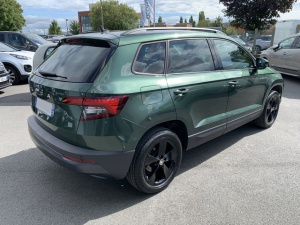 Skoda Karoq 2.0 Tdi 150 Business Karoq 47 045km