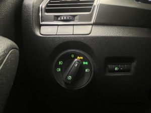 Skoda Fabia 1.4 Tdi 90ch Clever Fabia 70 789km