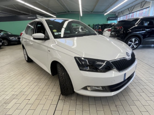 Skoda Fabia 1.4 Tdi 90ch Clever Fabia 70 789km