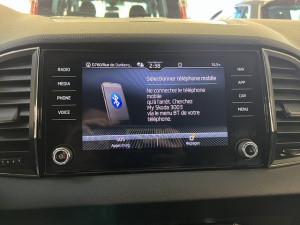 Skoda Karoq 2.0 Tdi 116ch Business Dsg7 Karoq 91 745km
