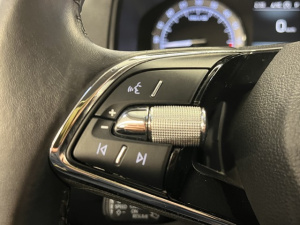 Skoda Karoq 2.0 Tdi 116ch Business Dsg7 Karoq 91 745km