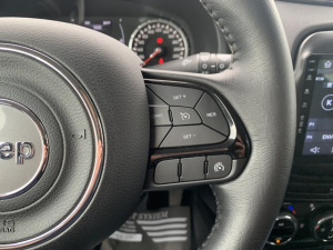 Jeep Renegade 1.6 Multijet 120 Brooklyn Edition-1 Main Renegade 111 597km