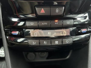 Peugeot 208 Bluehdi 100 Bvm5 Gt Line 208 133 733km