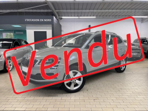 Skoda Karoq 1.0 Tsi 116ch Business Dsg7 Karoq 80 496km