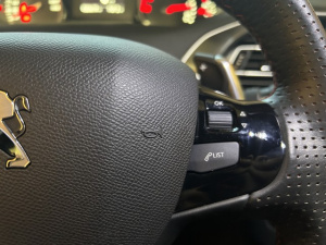 Peugeot 308 1.5 Bluehdi 130 Gt Eat 308 20 557km