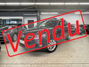 Volkswagen Tiguan 2.0 Tdi 110ch Serie Lounge 1er Main Tiguan 101 858km