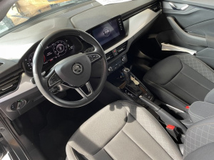 Skoda Kamiq Business 1.6 Tdi 116 Dsg Kamiq 102 133km