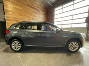 Skoda Kamiq Business 1.6 Tdi 116 Dsg Kamiq 102 133km