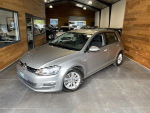 Volkswagen Golf 1.6 Tdi 110 Ch Bvm6 Trendline Business Golf 99 909km