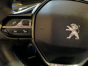 Peugeot 508 Sw 2.0 Hdi 160 Gt Line 508 118 867km