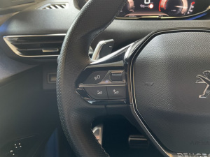 Peugeot 3008 1.5 Bluehdi 130 Ch S&s Gt Eat8 3008 43 113km