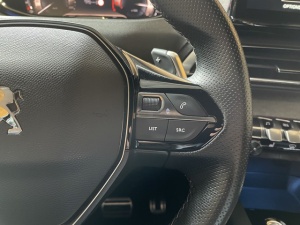 Peugeot 3008 1.5 Bluehdi 130 Ch S&s Gt Eat8 3008 43 113km