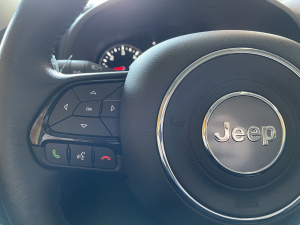 Jeep Renegade 1.6 Multijet 120 Ch Longitude Renegade 89 858km
