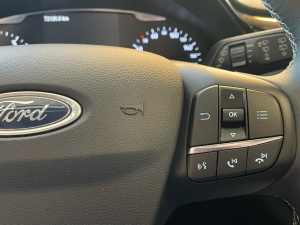 Ford Fiesta Active 1.0 Ecoboost 100 + Carplay+1e Main Fiesta 72 091km
