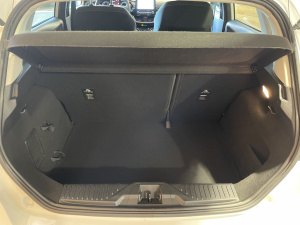 Ford Fiesta Active 1.0 Ecoboost 100 + Carplay+1e Main Fiesta 72 091km