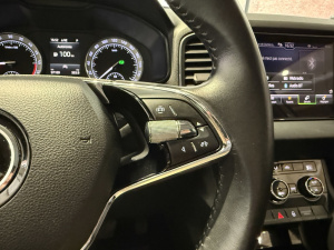 Skoda Karoq 2.0 Tdi 116ch Ambition Dsg7 Karoq 97 189km