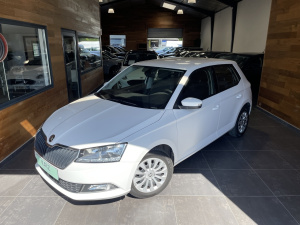 Skoda Fabia Business 1.0 Tsi 95ch-carplay-1ere Main Fabia 99 691km