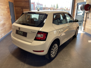 Skoda Fabia Business 1.0 Tsi 95ch-carplay-1ere Main Fabia 99 691km