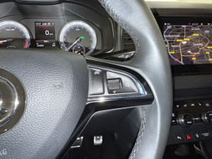 Skoda Karoq Style 1.6 Tdi 116ch Dsg7 Karoq 124 934km