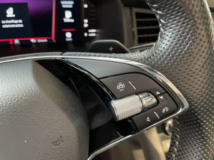 Skoda Kodiaq 2.0 Tdi 150 Ch Dsg7  Sportline Kodiaq 127 629km