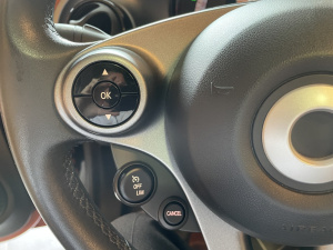 Smart Forfour  1.0 71 Ch S&s Passion Forfour 64 119km