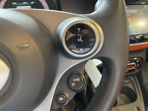 Smart Forfour  1.0 71 Ch S&s Passion Forfour 64 119km