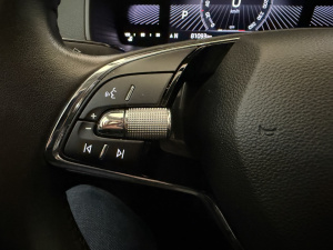 Skoda Karoq Business 2.0 Tdi 116 Scr Dsg7 Karoq 81&nbsp;093km