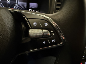 Skoda Karoq Business 2.0 Tdi 116 Scr Dsg7 Karoq 81&nbsp;093km