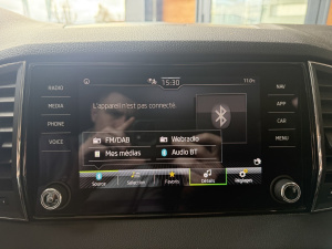 Skoda Karoq Ambition 1.5 Tsi 150ch Karoq 110&nbsp;275km