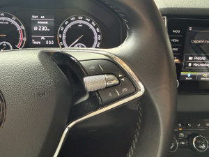 Skoda Karoq Ambition 1.5 Tsi 150ch Karoq 110&nbsp;275km