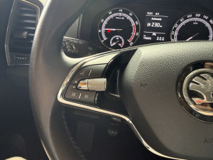 Skoda Karoq Ambition 1.5 Tsi 150ch Karoq 110&nbsp;275km