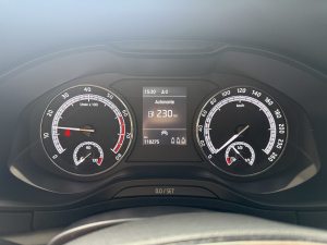 Skoda Karoq Ambition 1.5 Tsi 150ch Karoq 110&nbsp;275km