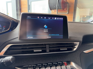 Peugeot 3008 1.5 Blue Hdi 130 Active Business 3008 112&nbsp;312km