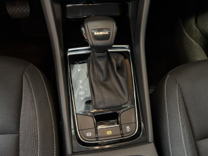 Skoda Karoq Business 2.0 Tdi 116 Scr Dsg7 Karoq 74&nbsp;143km