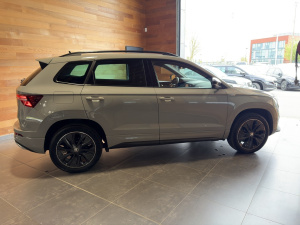 Skoda Karoq Sportline 2.0 Tdi 116 Scr Dsg7 Karoq 99&nbsp;623km