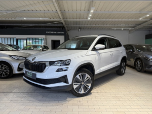 Skoda Karoq Business 2.0 Tdi 116ch Dsg7 Karoq 116&nbsp;787km